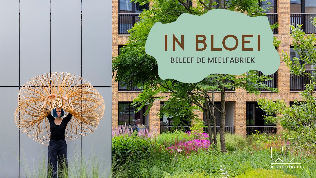 IN BLOEI - Openingsevent De Meelfabriek Tuin, Leiden