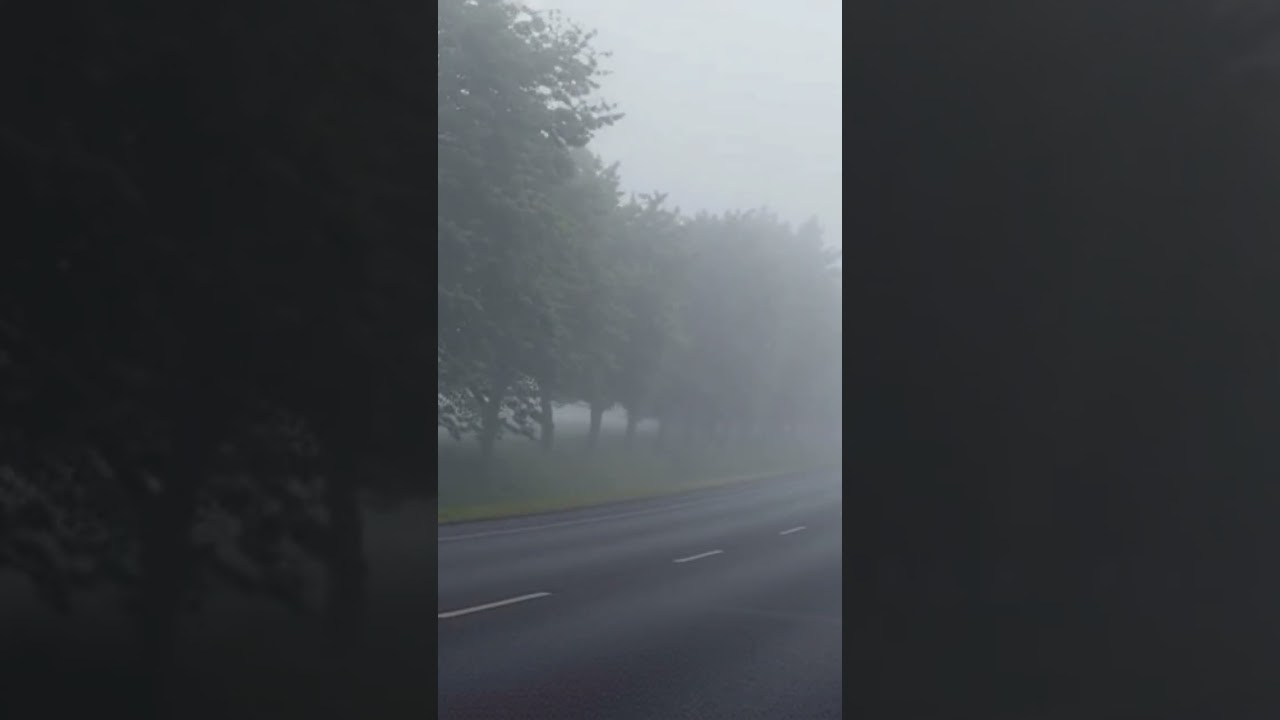 The Fog #shortsfeed #Shorts #YouTubeShorts #ViralShorts #NatureShorts #RelaxingShorts #CinematicMood