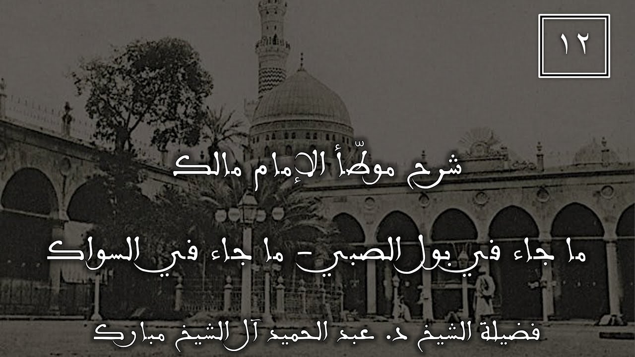 شرح موطأ الإمام مالك (١٢) |ما جاء في بول الصبي- ما جاء في السواك| الشيخ د.عبد الحميد آل الشيخ مبارك