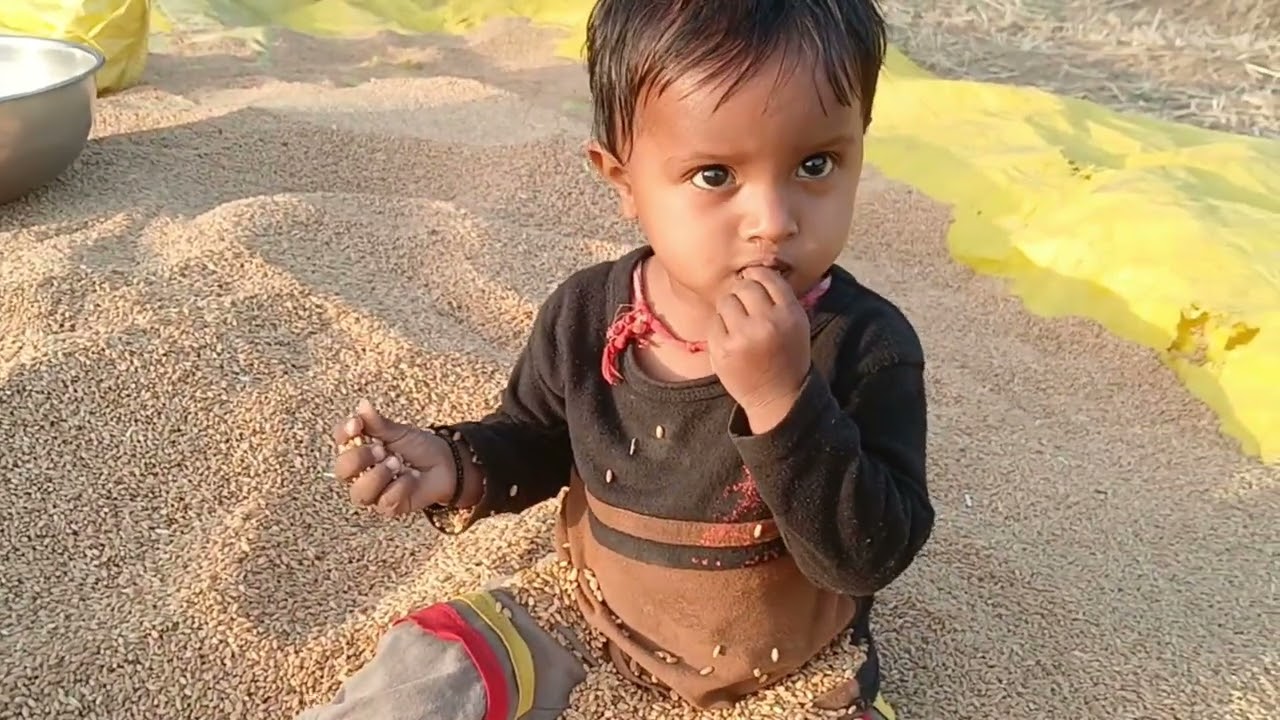 ફાઈનલી ખેતર માંથી ઘઉં ઉપાડીને  ઘરે લાવી દીધા//RaShaji vlogs//Gujarati 