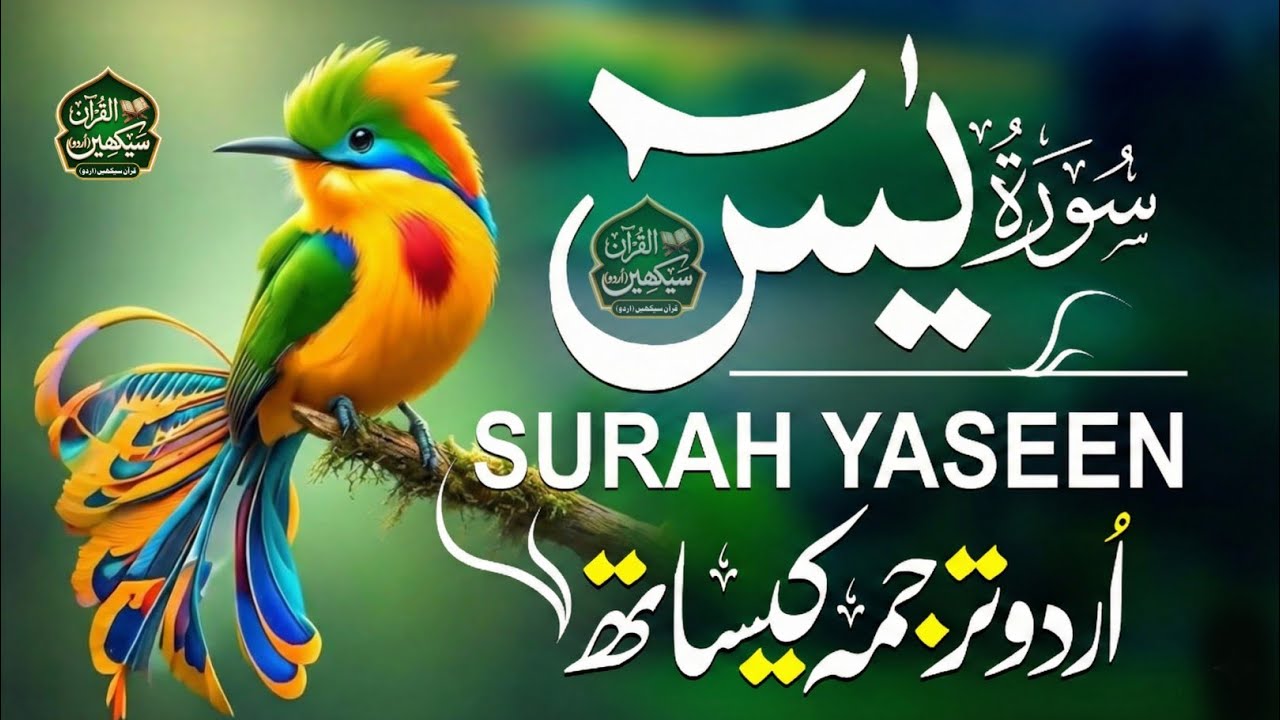 Surah Yaseen With Urdu Translation By Qari Mansoor Ghaznawi I Urdu And Hindi Tarjuma