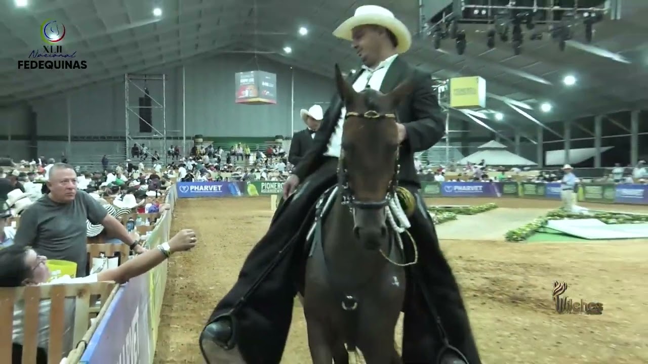 NUEVA ERA DE VILLA SOFIA, CAMPEONA JOVEN TROCHA Y GALOPE 42 EXPOSICIÓN NACIONAL BUCARAMANGA 2026