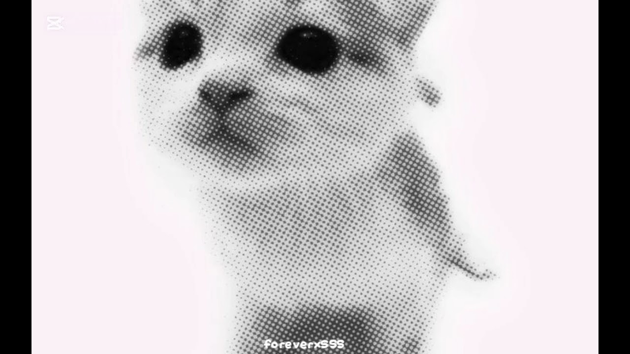 foreverxSSS (remix) - tom.asmusic /16PRODWASK