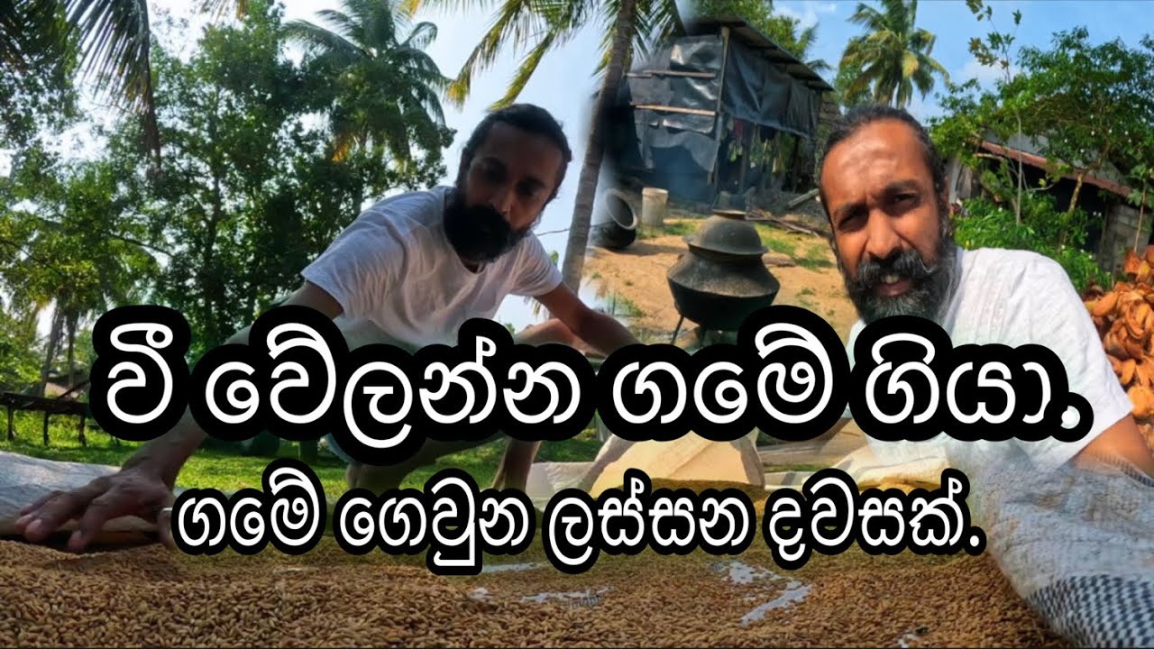 I spend a day in my village.#travel #subscribe #villagevlog #vlog #srilanka 