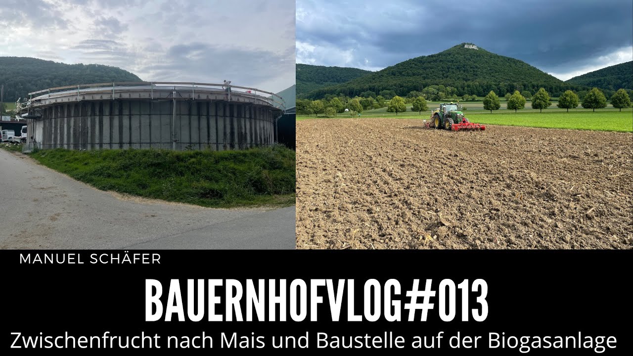 BauernhofVlog #013 Zwischenfrucht nach Mais und Baustelle auf der BGA