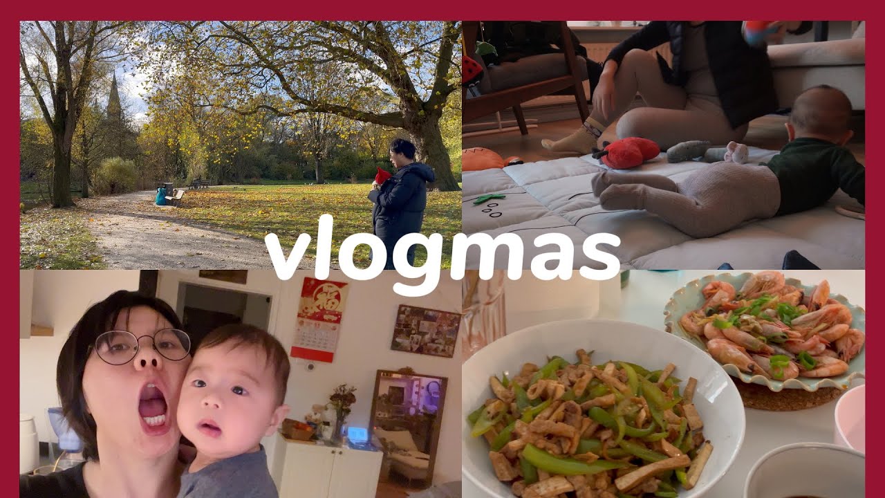 vlogmas 装修队进入了决赛圈 🇳🇱一家三口生活记录