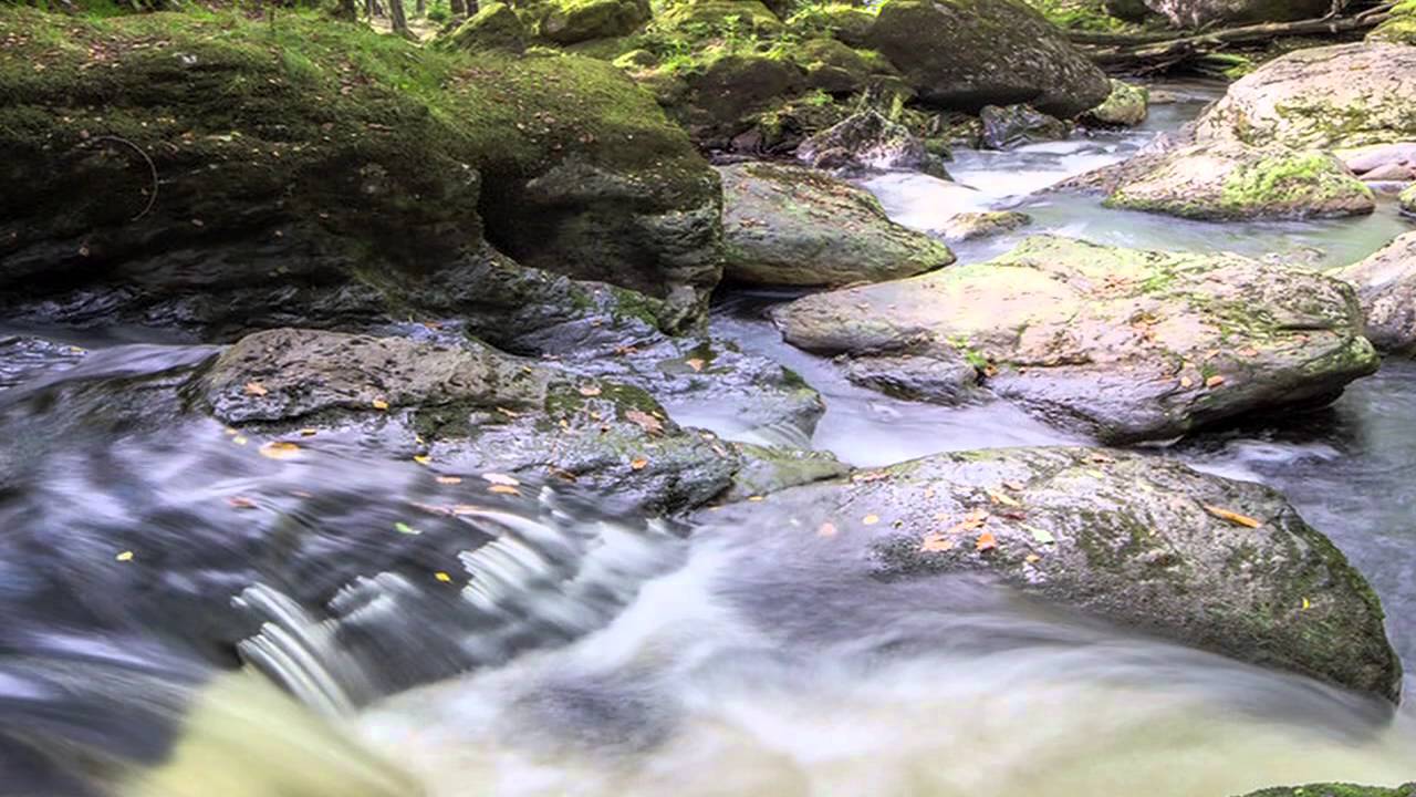 Sir Andrew Motion reads 'Inversnaid' poem
