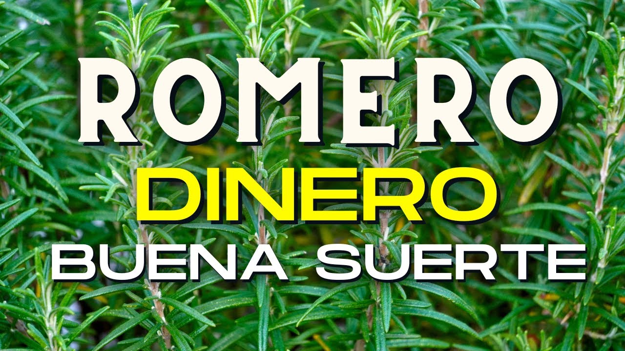 🌿 &iquest;C&oacute;mo usar la Planta de ROMERO para ATRAER Dinero y Buena Suerte?
