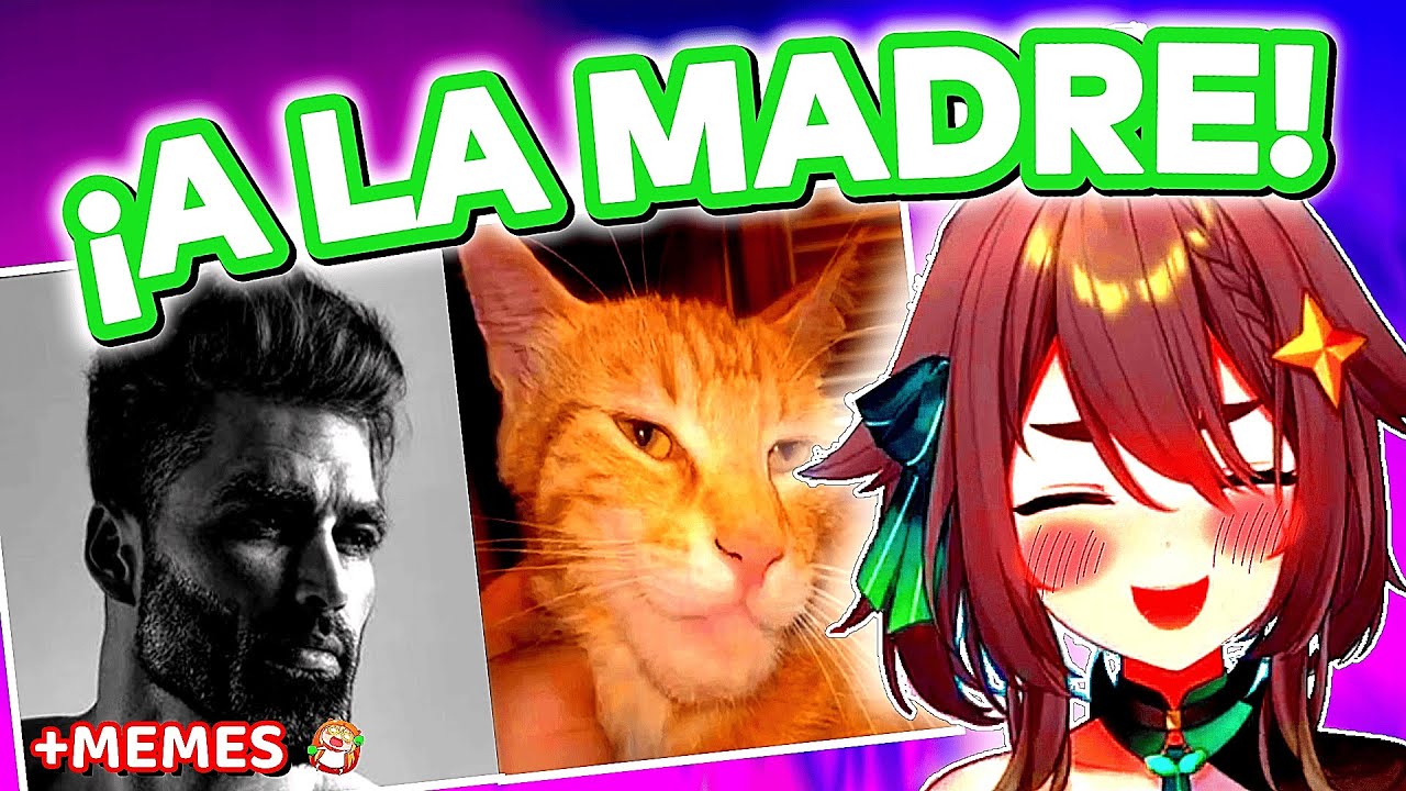 ¡EL GATO  MAS GIGACHAD! - MEICA Reacción