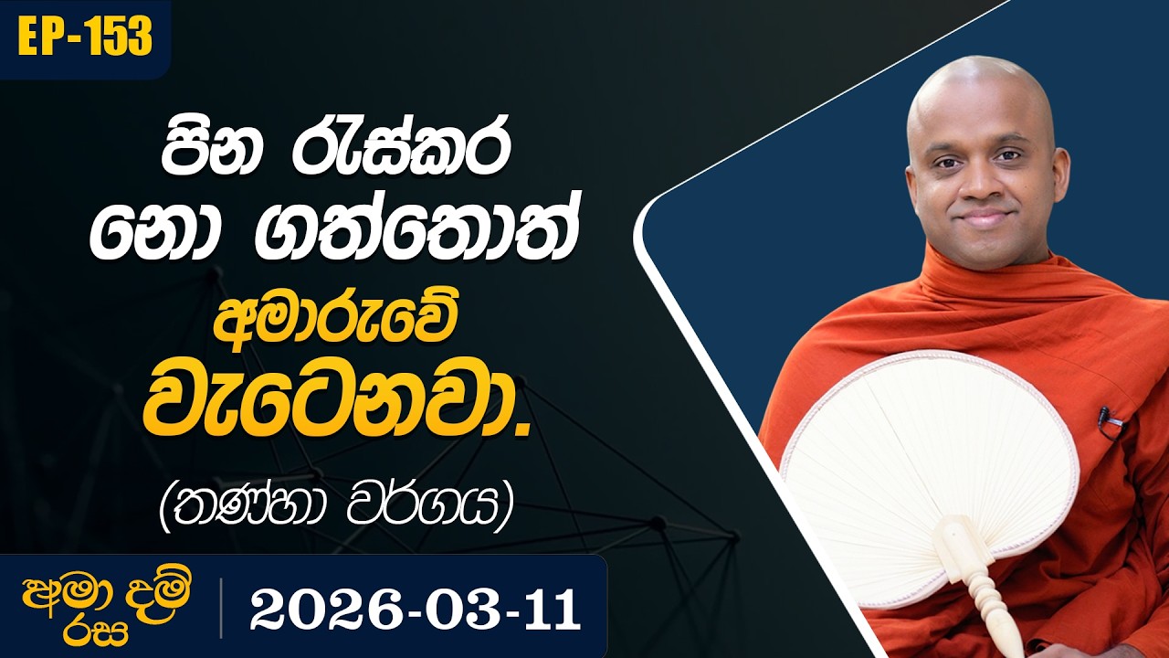 153. පින රැස්කර නොගත්තොත් අමාරුවේ වැටෙනවා. (තණ්හා වර්ගය) | අමා දම් රස | 2026-03-11