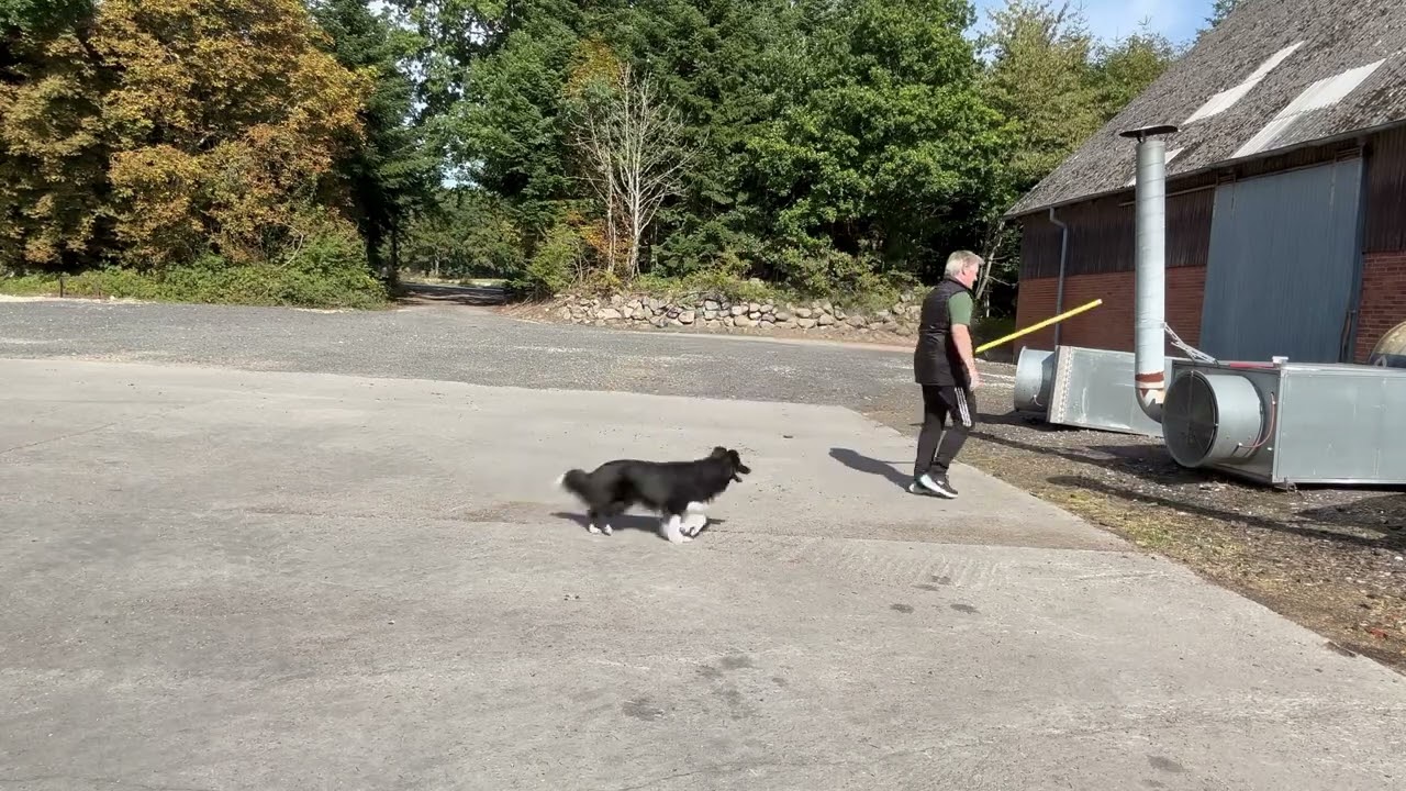 Færdighedsprøve 1 Bindi