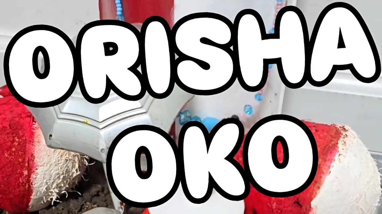 &iquest;ORISHAOKO C&Oacute;MO SE RECIBE?