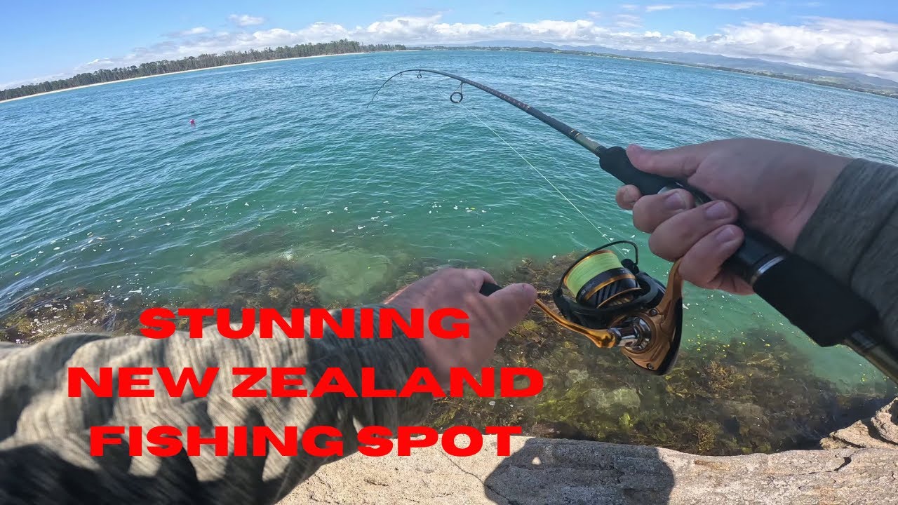 Can New Zealand Fishing Get Any More Beautiful,  Bowentown Fishing From The Rocks