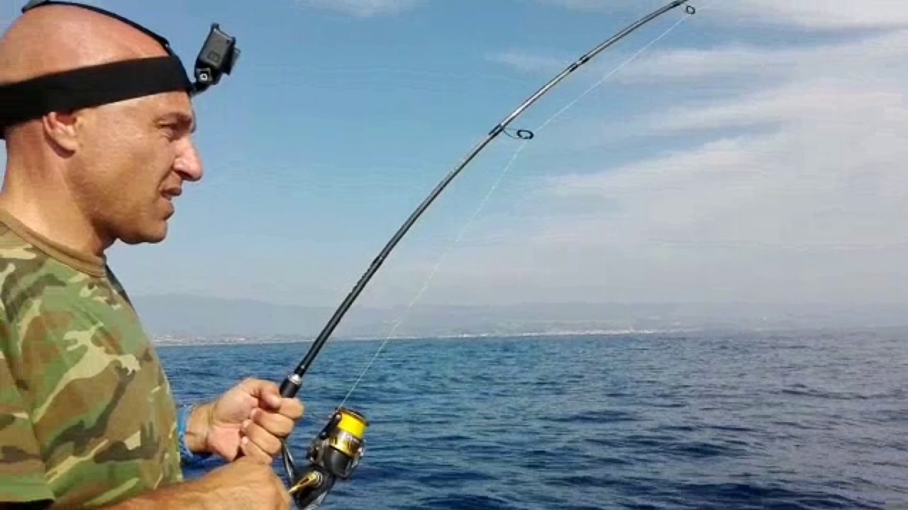 TONNETTO STRIATO