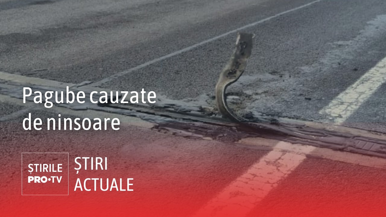 Ninsorile au provocat pagube masive