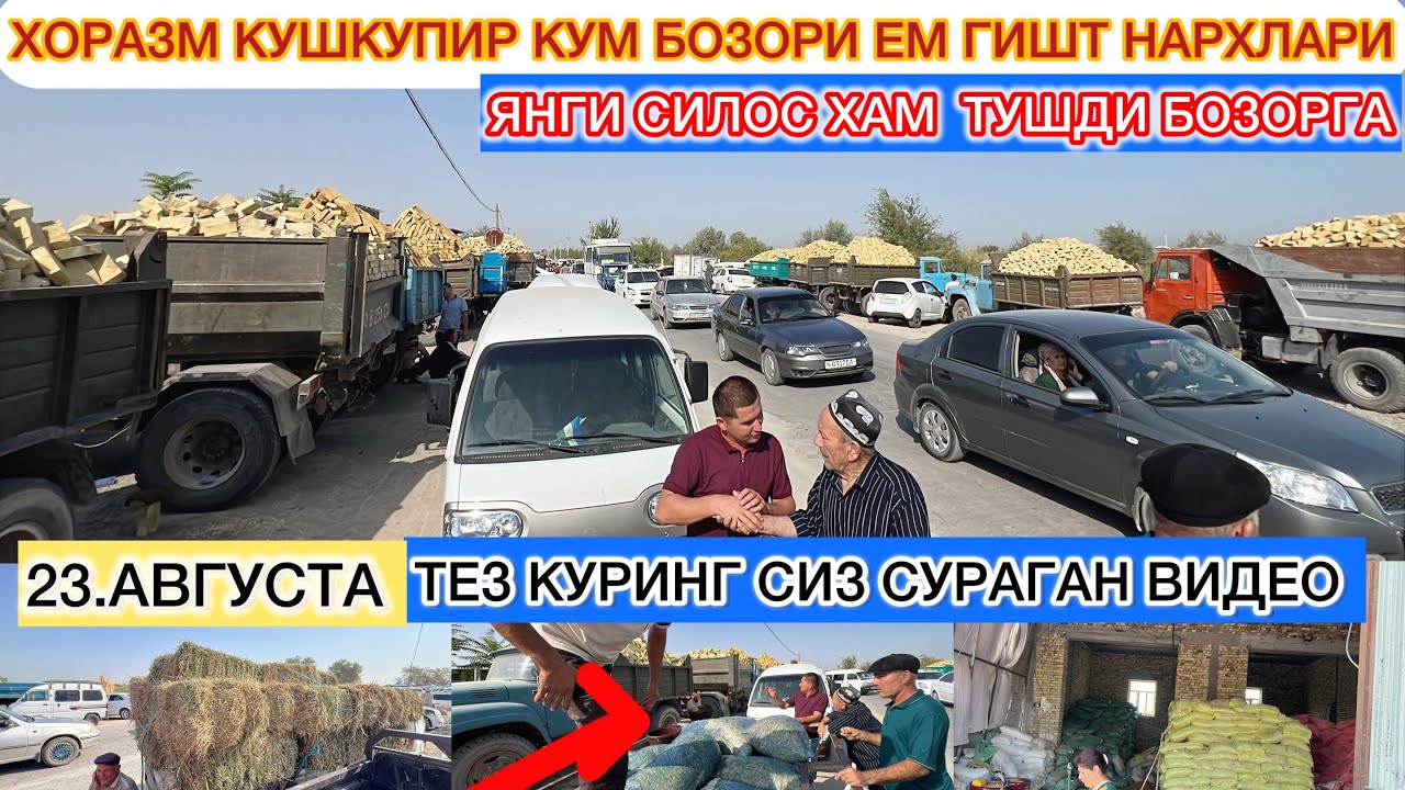 ХОРАЗМ КУШКУПИР КУМ БОЗОРИ ЕМ ГИШТ НАРХЛАРИ ЯНГИ СИЛОС ХАМ БОР КУРИНГ 23-августа 2025 г.