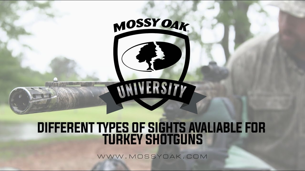 Different Types Of Sights Available For Turkey Shotguns
