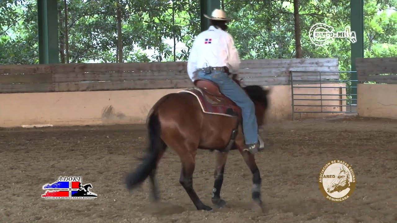 Cuarto de Milla TV - Entrenamiento potro 2da parte