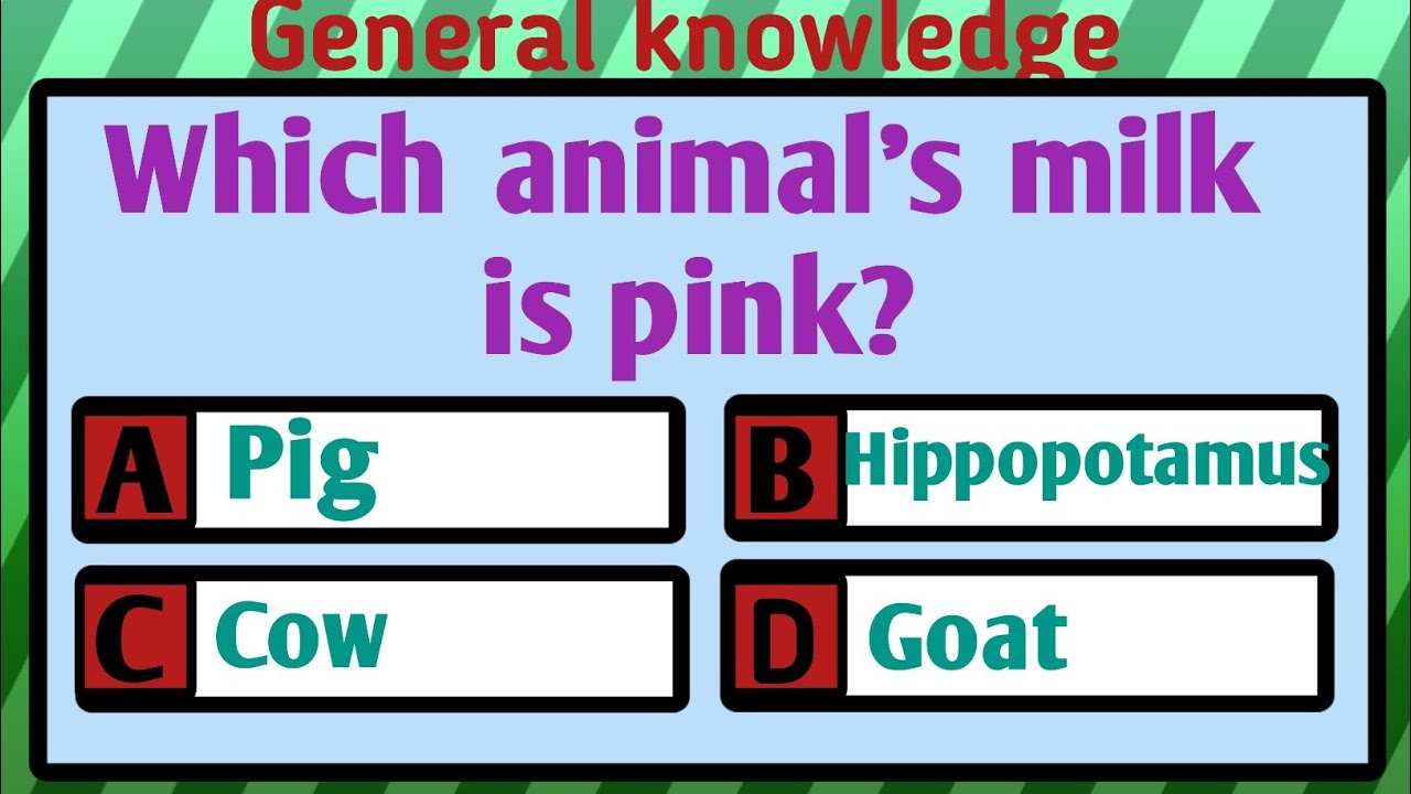 General Knowledge Power Test 🔥 |  Fun & Unique GK Questions