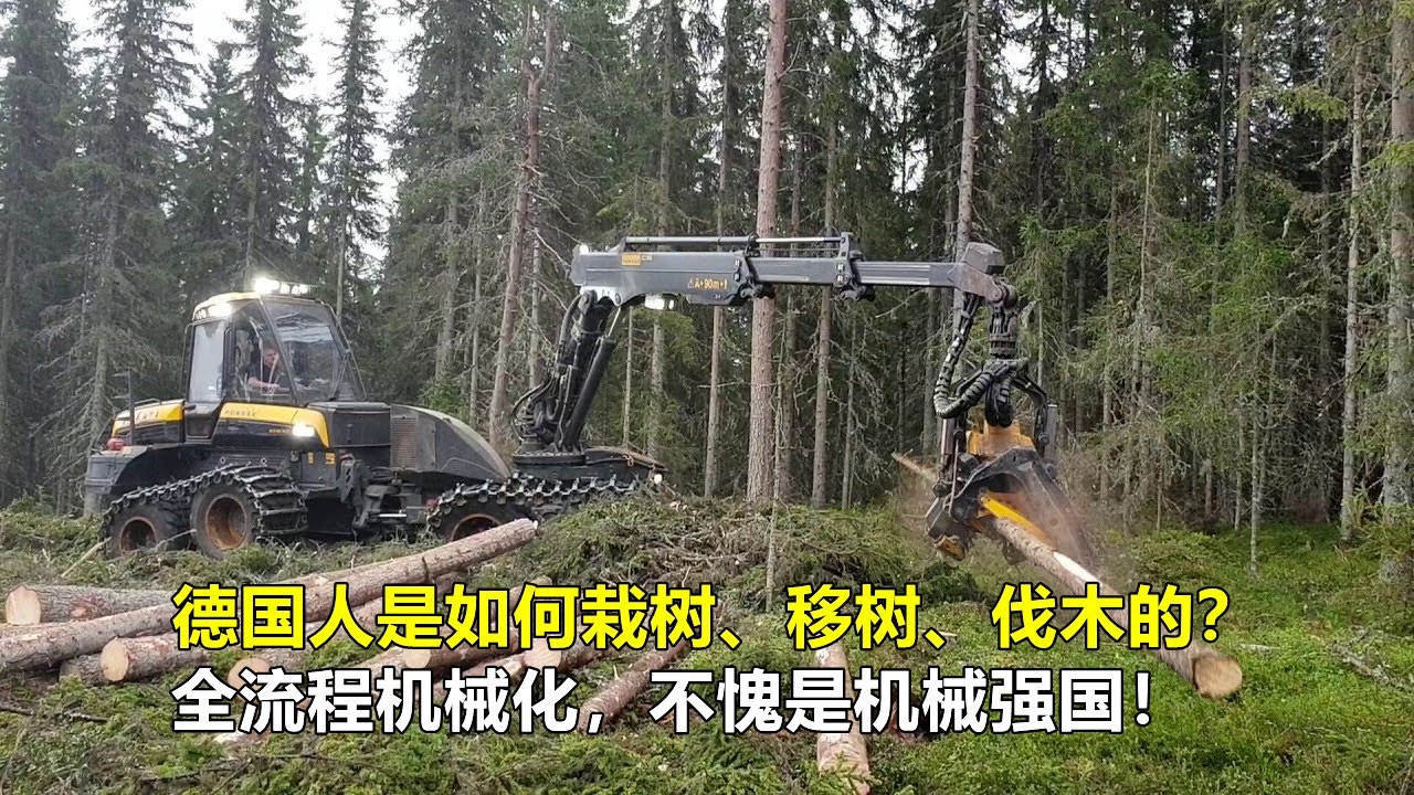 德国人是如何栽树、移树、伐木的？全流程机械化，不愧是机械强国！