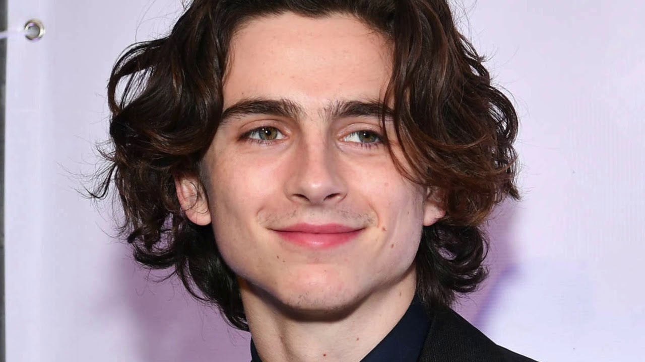 timothee chalamet enjoy the silence