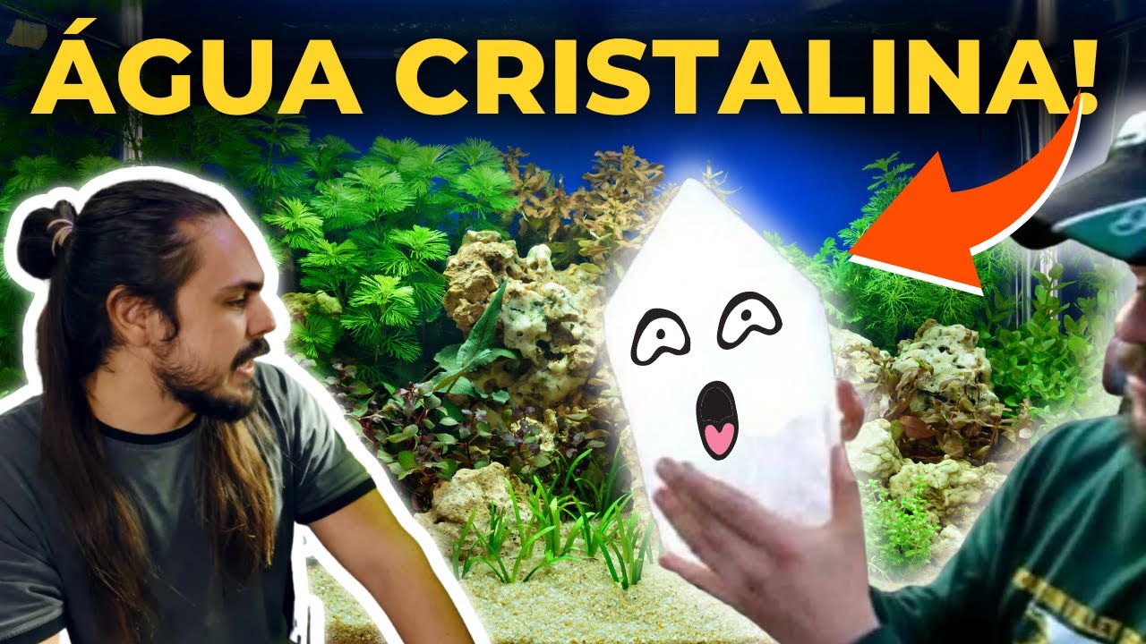 🔴COMO TER A ÁGUA DO SEU AQUÁRIO CRISTALINA |Mr. Betta|