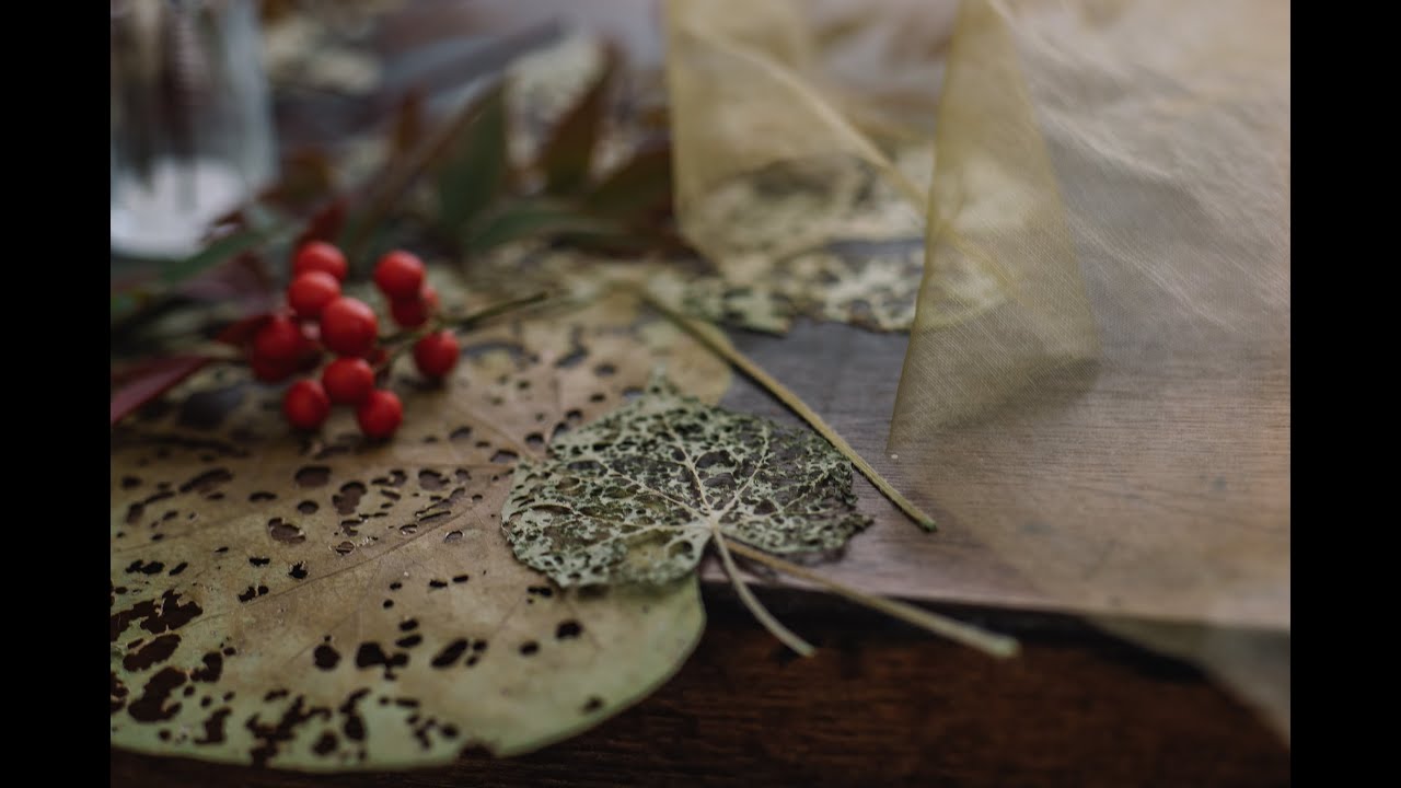 Lensbaby Edge 80 -Beth Oliver