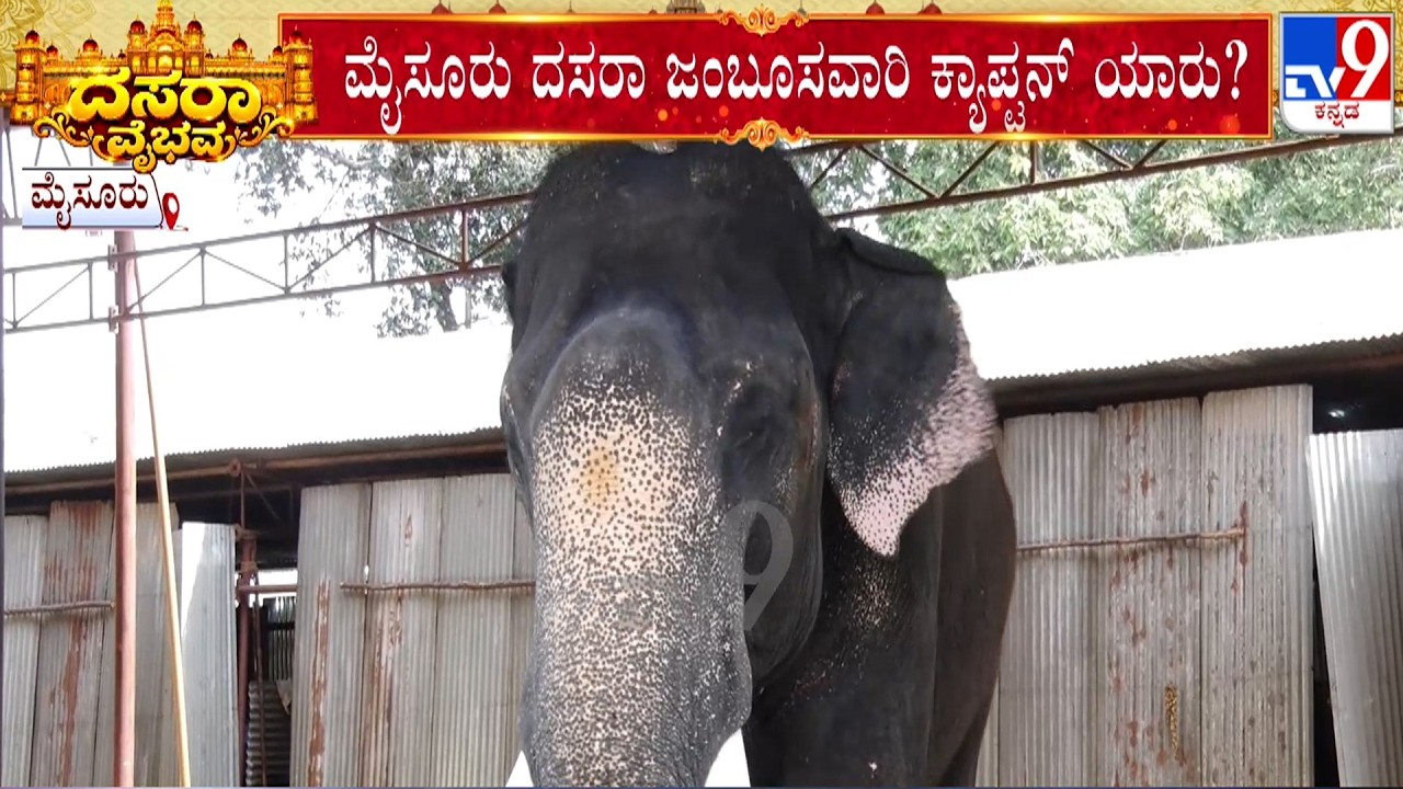 Mysuru Dasara 2026: ಮೈಸೂರು ದಸರಾ ಜಂಬೂಸವಾರಿ ಕ್ಯಾಪ್ಟನ್ ಯಾರು?