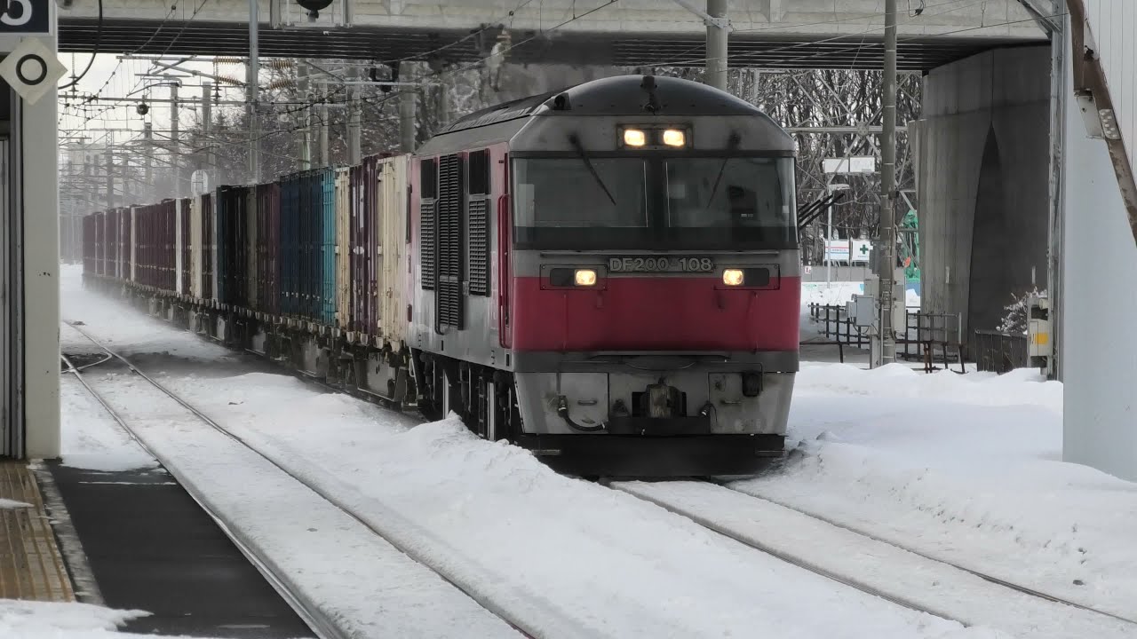 【4K】Series DF200-108 diesel locomotive freight train passing on snowed track at Hokkaido M5240027