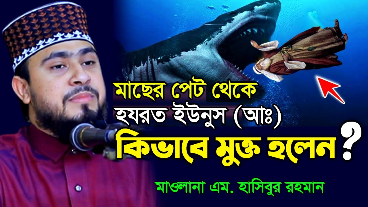 ইউনুস নবী মাছের পেটে যাওয়ার ঘটনা । হযরত ইউনুস (আঃ) ও মাছের অলৌকিক কাহিনী । M Hasibur Rahman ।