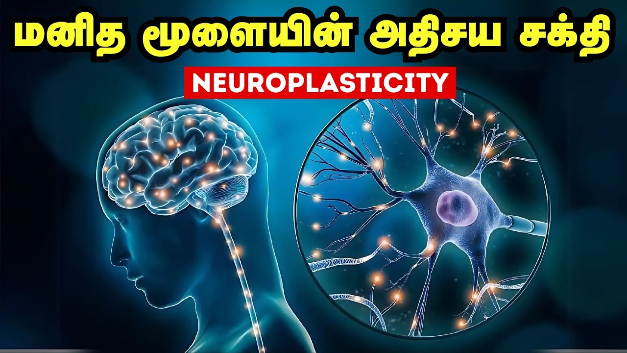 மனித மூளையின் அதிசய சக்தி | Neuroplasticity | Brain's Super Power In Tamil