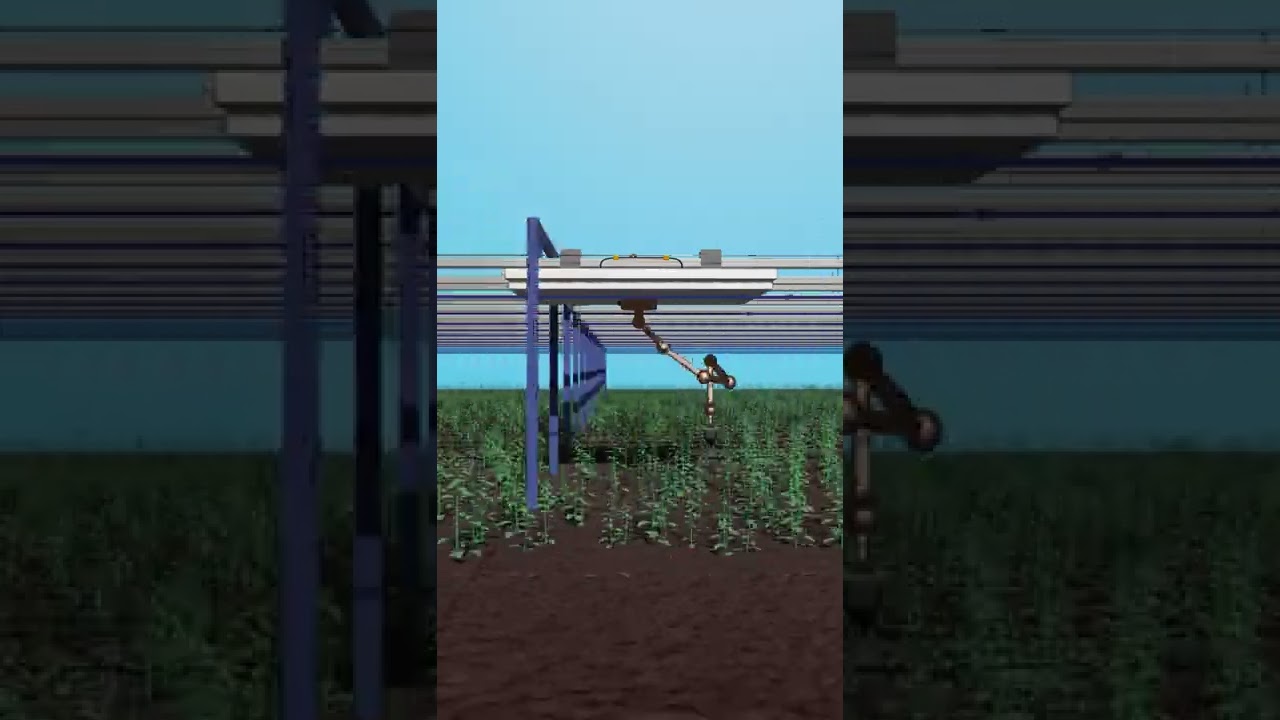 Robotic arm on rails for bio farms - no pesticides