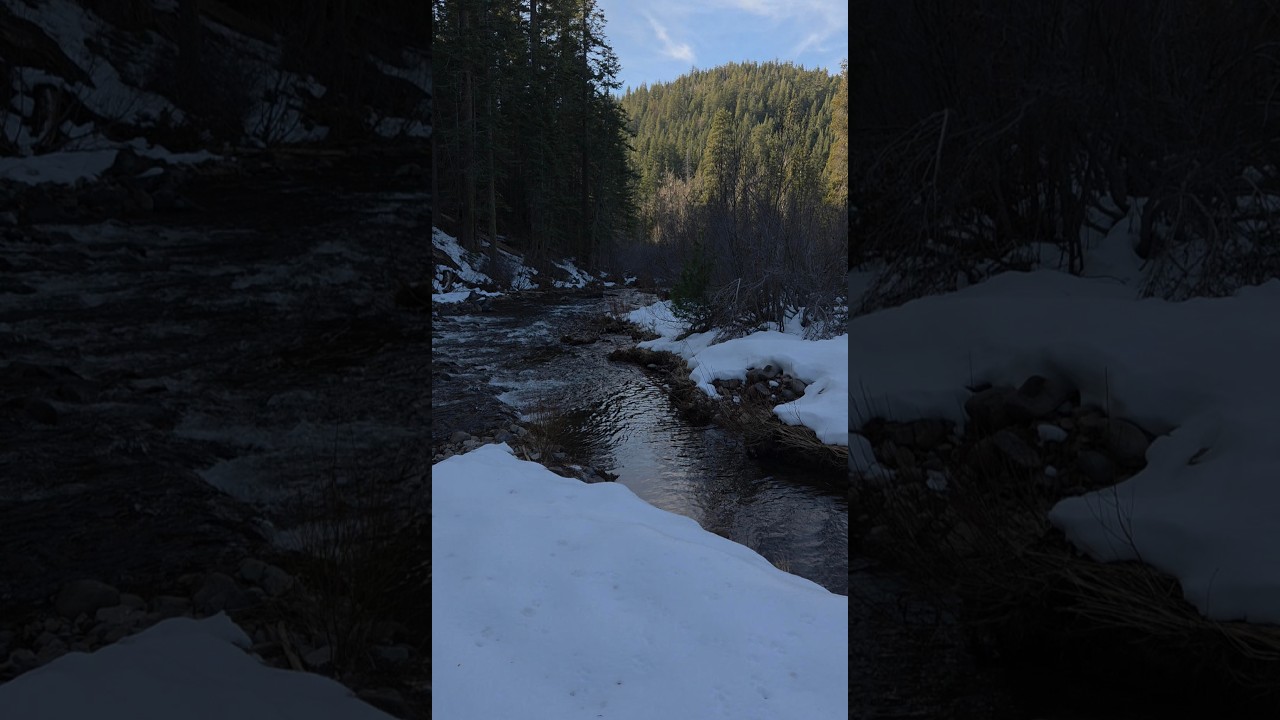 Winter Camping at Butte Meadows