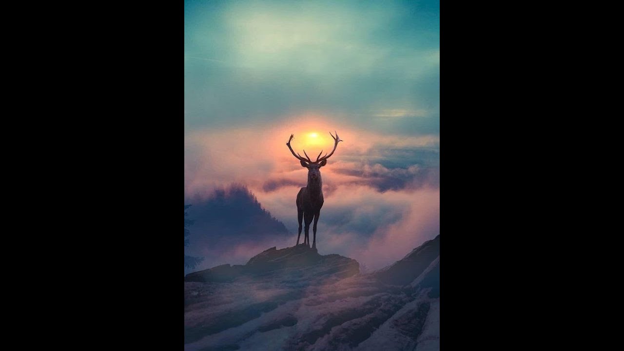 🎵Royalty Free Piano Music - Alexander Nakarada🎵🎹