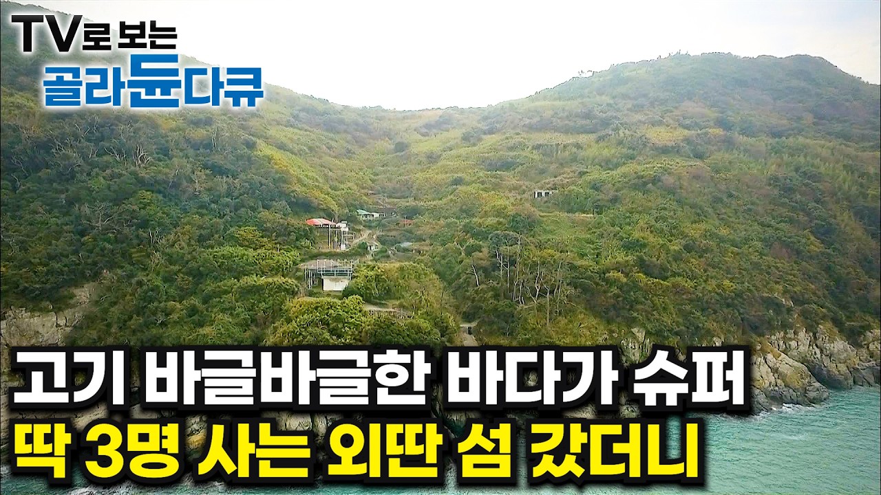 딱 3명이서 바다에서 꺼내 잘만 해먹고 산다. 자급자족 끝판왕 섬마을 🏝️외딴 곳 야생 속에 사는 사람들 1시간 몰아보기🏝️｜한국기행｜#tv로보는골라듄다큐