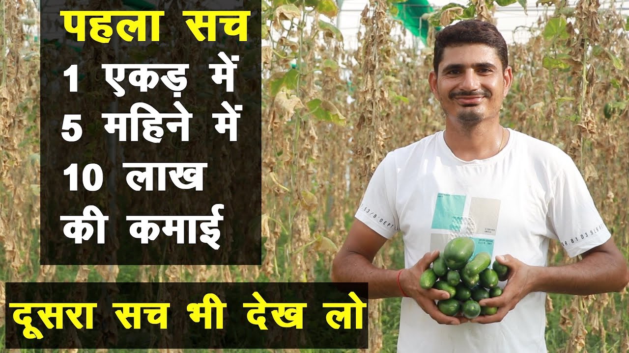 नेट हाउस में कमाई का गणित आंखें खोल देगा || Advanced farming model || Technical Farming