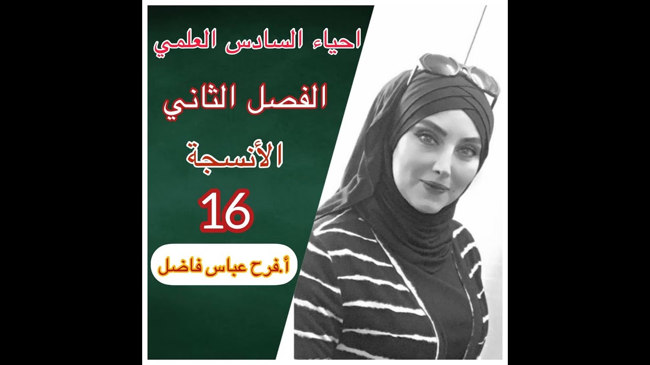 احياء السادس العلمي / الانسجة 16 / النسيج العضلي