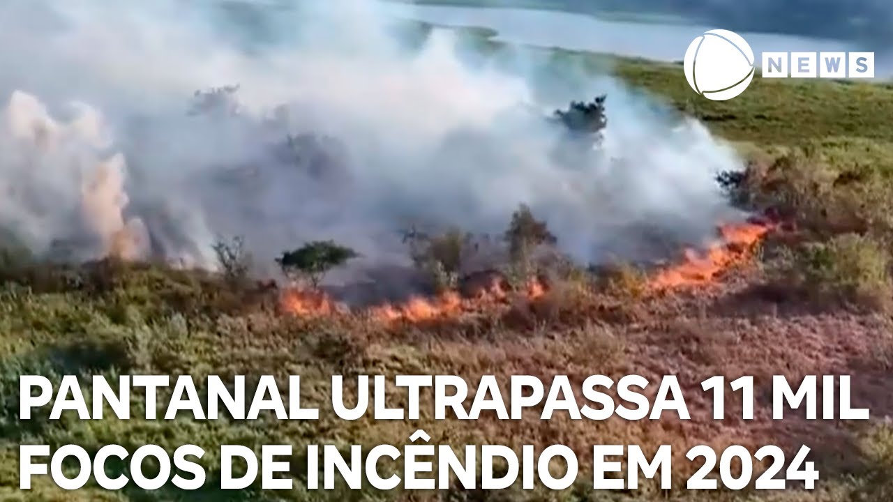 Pantanal ultrapassa 11 mil focos de inc&ecirc;ndio em 2024