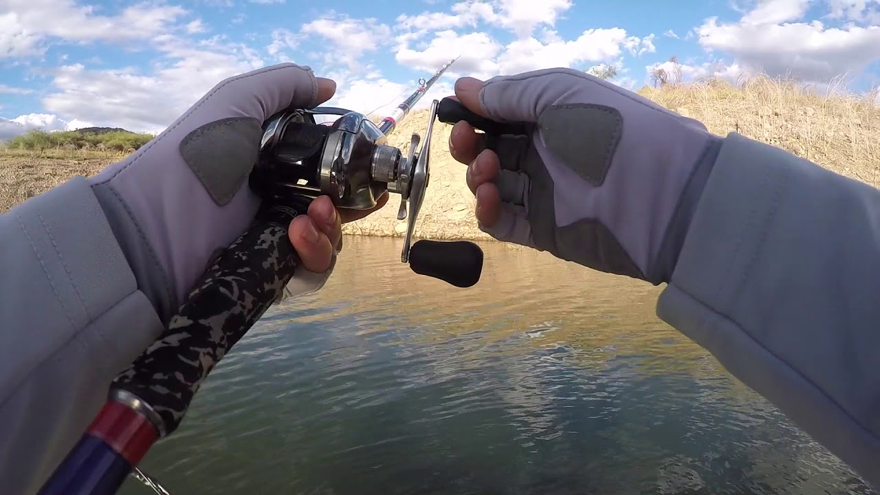 Catching Over 100 Bass in 1 DAY