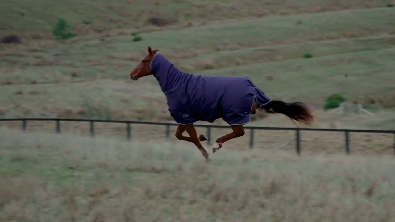 Weatherbeeta ComFiTec Tyro Combo Turnout