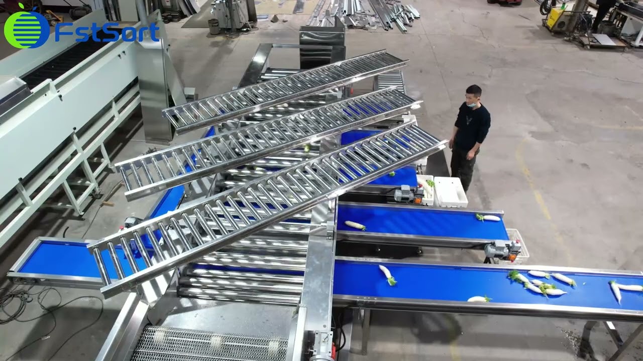 Adjustable radish washing drying sorting machine