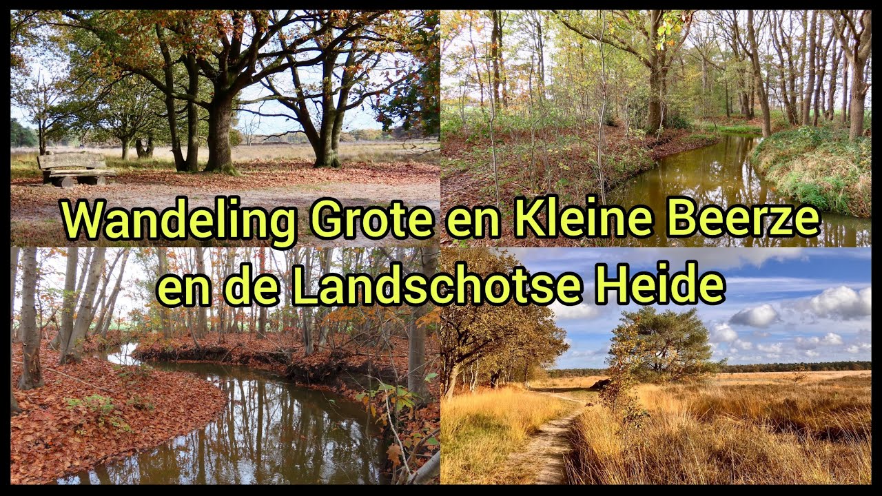 Wandeling Grote en Kleine Beerze en de Landschotse Heide vanuit Middelbeers