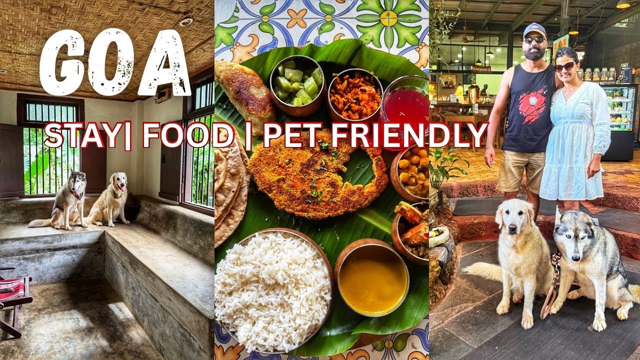 Goa Adventures with Friends | Cafe Hopping, Fish Thali & More!