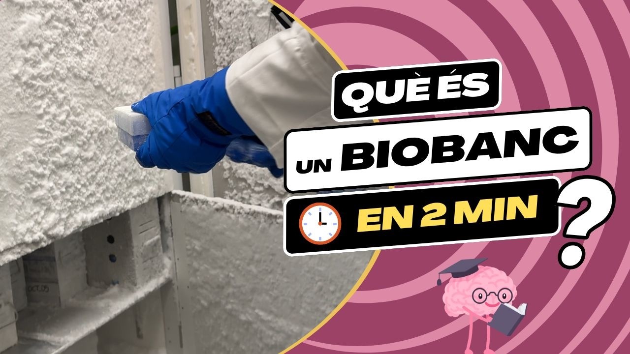 Què és un biobanc? | Ciència en 2 minuts