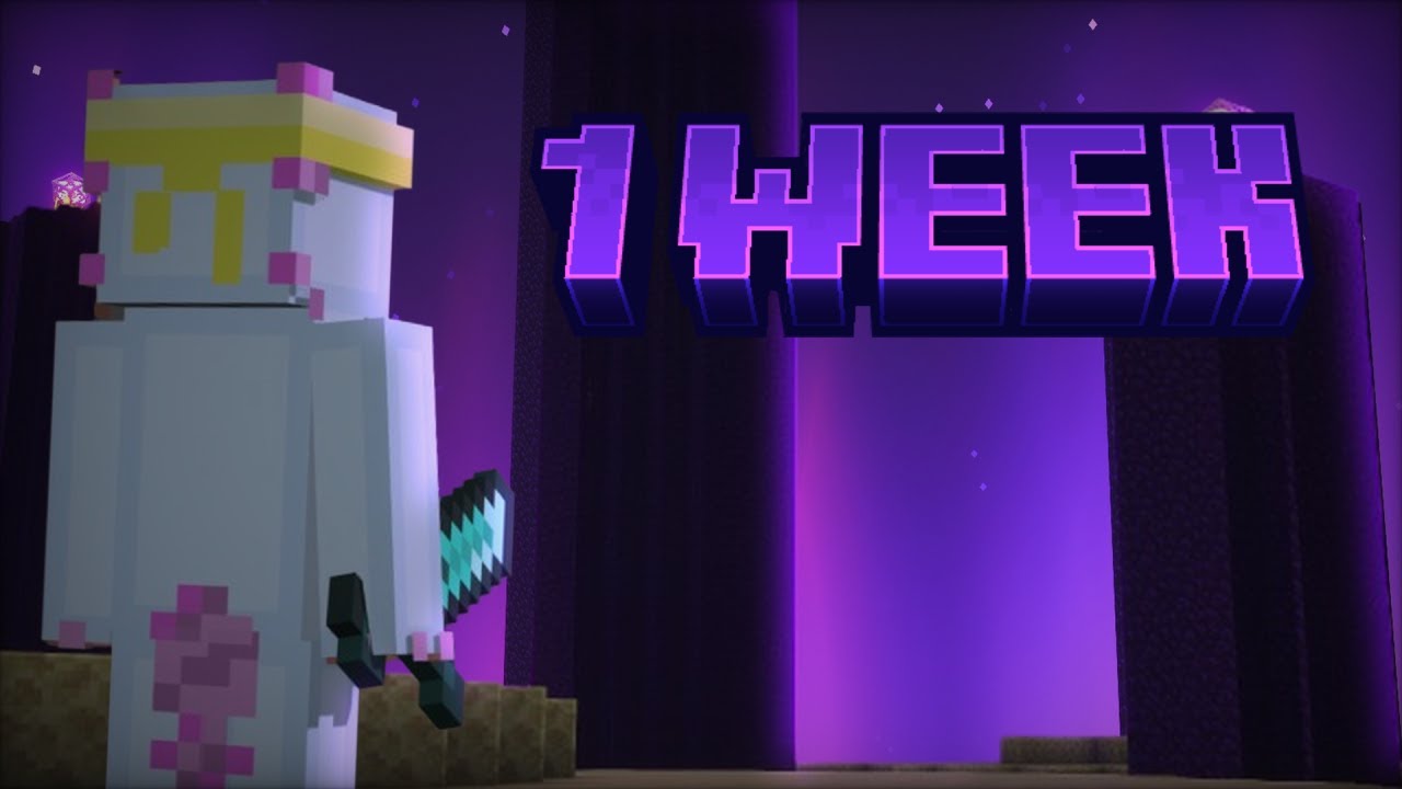 One Week on the Synth SMP