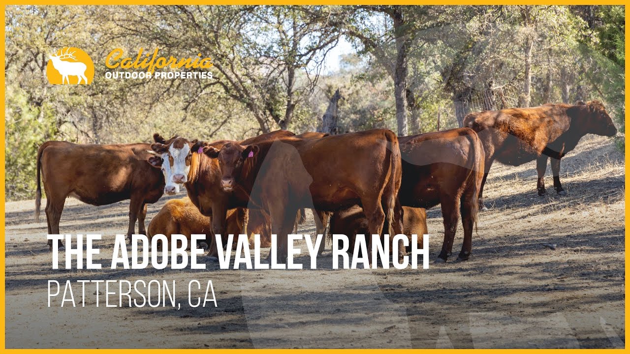 The Adobe Valley Ranch | Patterson, California