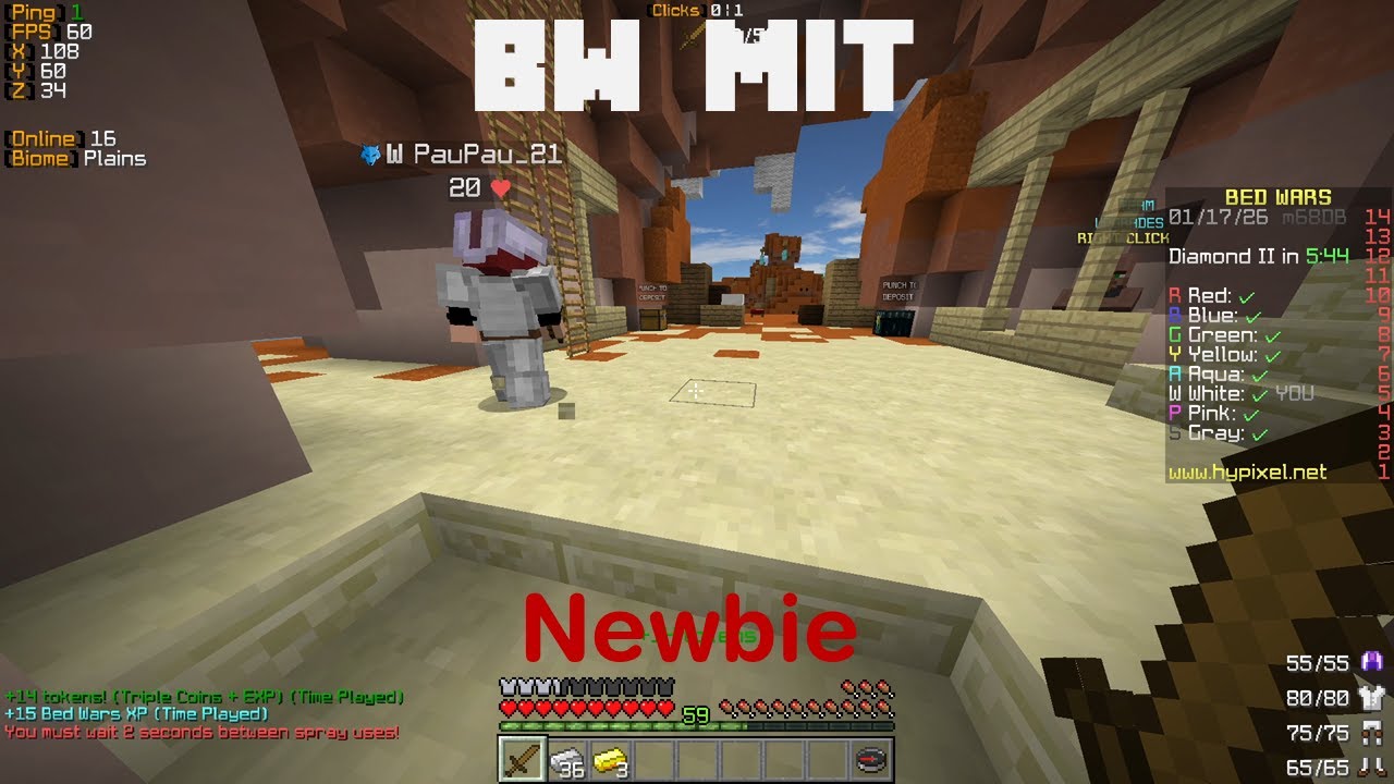 BW mit Newbie