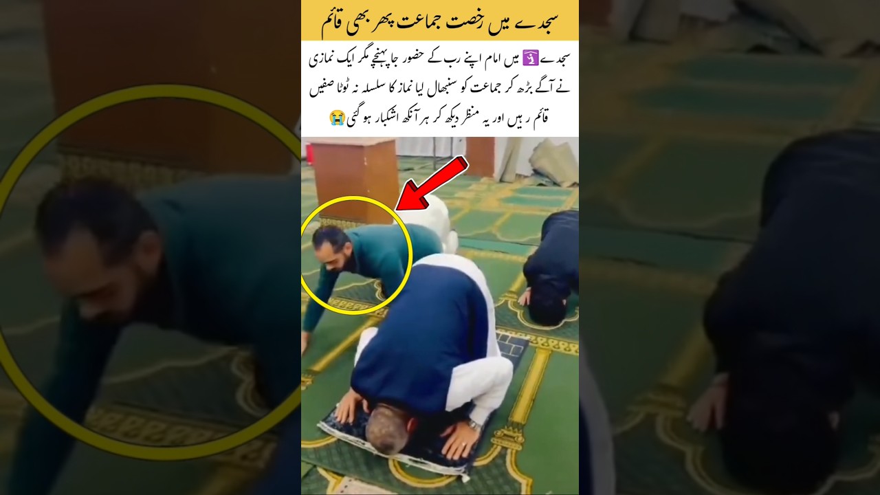 New Islamic Top Vedio #islamicvideo #trendingnow #viralshort #viralvideo #education #emotional #edit