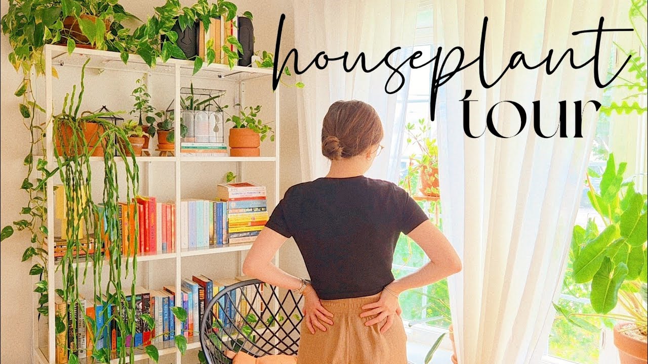 Summer 2025 Houseplant Tour