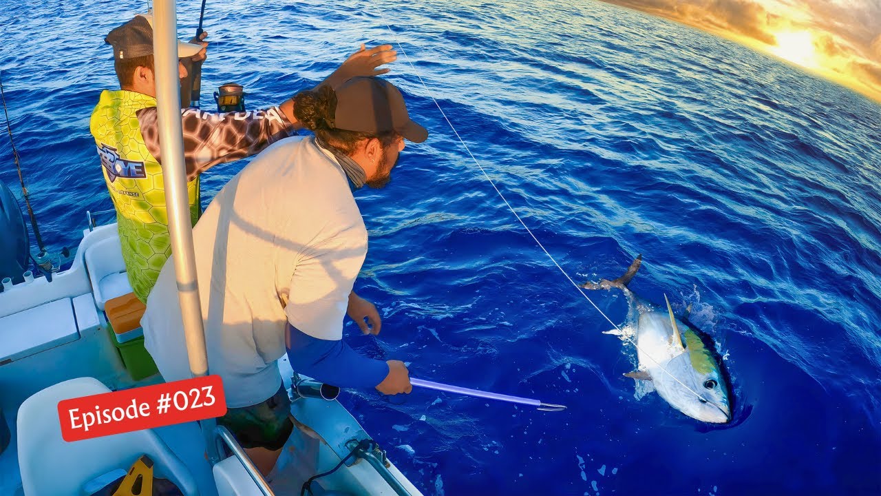 Notre Plus Gros Thon S'est Échappé ! 😢 Pêche à La Réunion